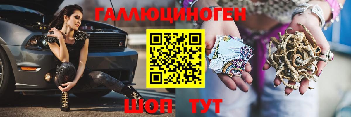 Галлюциногенные грибы Psilocybe Красноуфимск