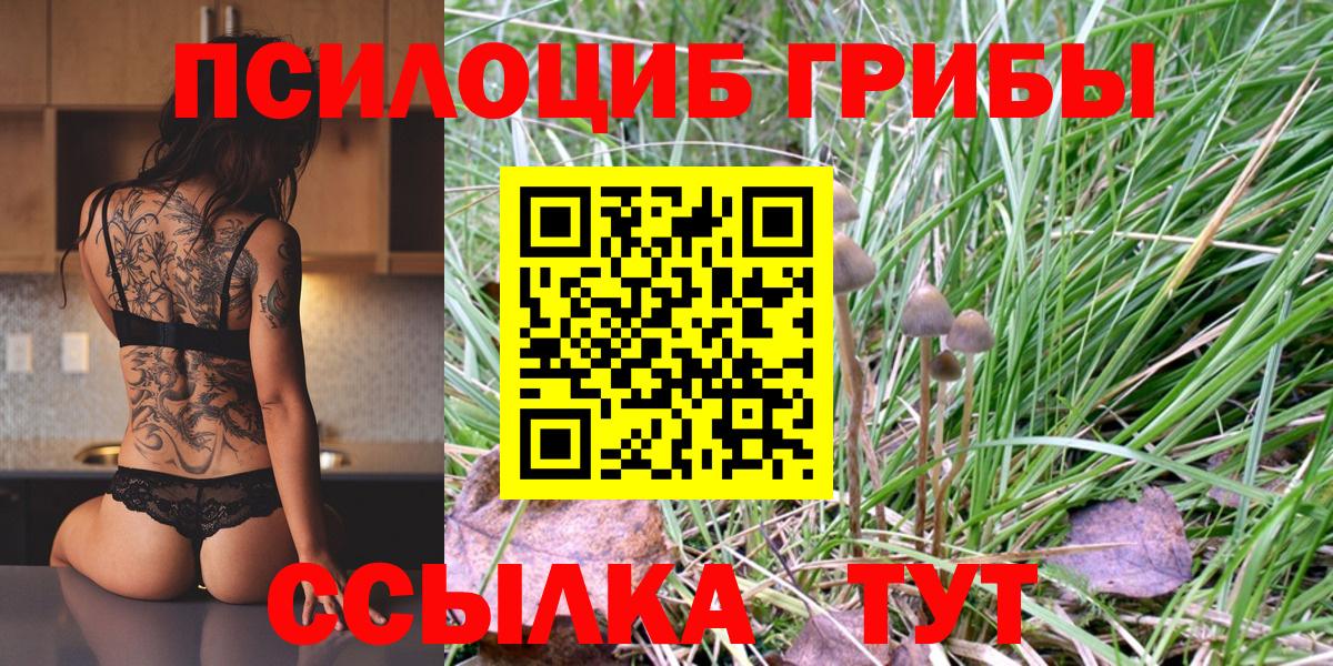 Галлюциногенные грибы мицелий  Вход с VPN  Псилоцибиновые грибы Magic Shrooms  Красноуфимск 